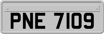 PNE7109