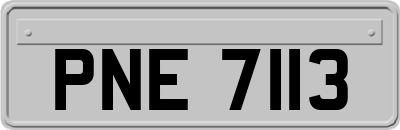 PNE7113