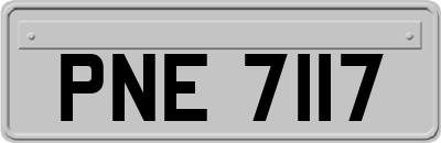 PNE7117