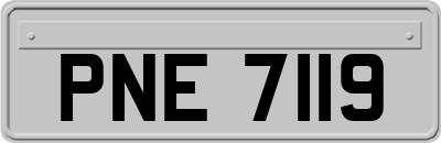 PNE7119