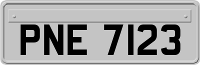 PNE7123