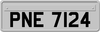 PNE7124