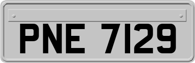 PNE7129