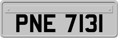 PNE7131