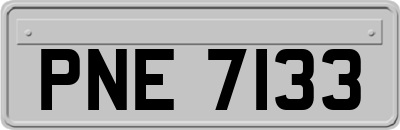 PNE7133