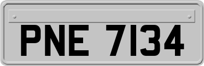 PNE7134
