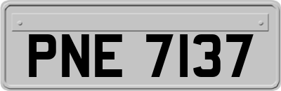 PNE7137