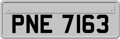 PNE7163