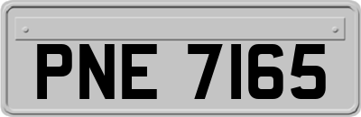 PNE7165