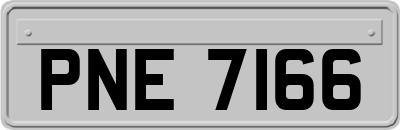 PNE7166