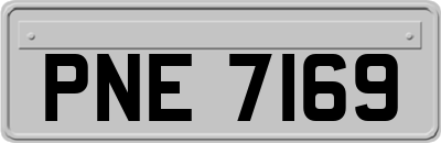 PNE7169