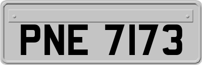 PNE7173