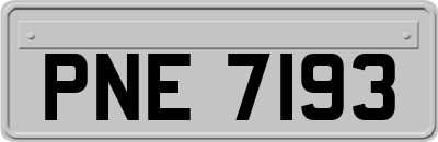 PNE7193