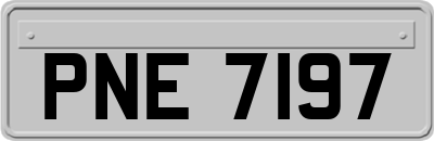 PNE7197