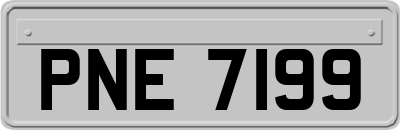 PNE7199