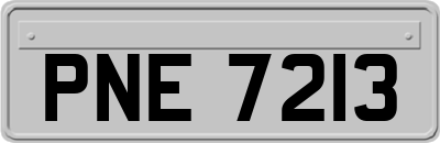PNE7213
