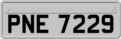 PNE7229