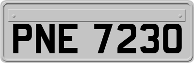 PNE7230