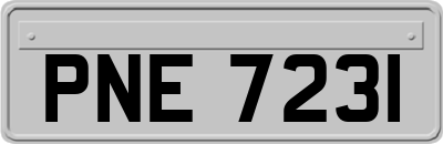 PNE7231