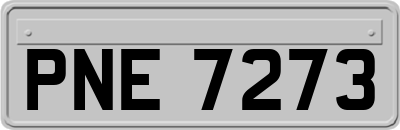 PNE7273