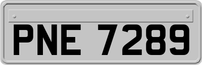 PNE7289