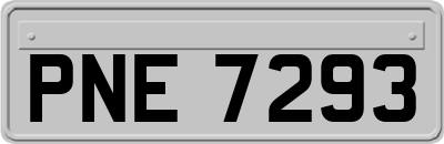 PNE7293