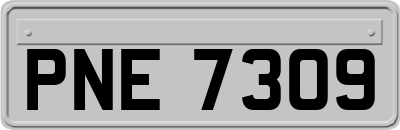 PNE7309