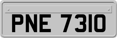 PNE7310
