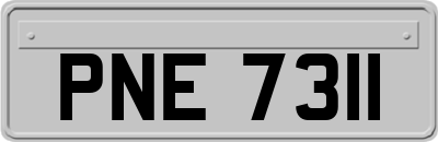 PNE7311