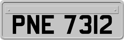 PNE7312