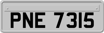 PNE7315