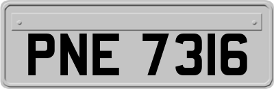PNE7316