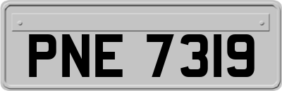 PNE7319