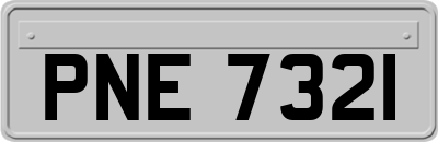 PNE7321