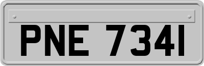 PNE7341