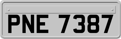 PNE7387
