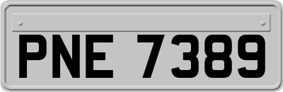 PNE7389
