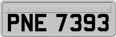 PNE7393