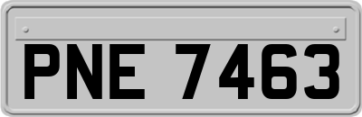 PNE7463