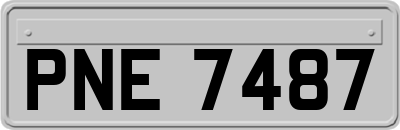 PNE7487