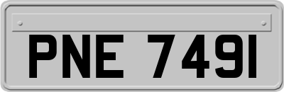 PNE7491