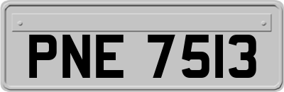 PNE7513