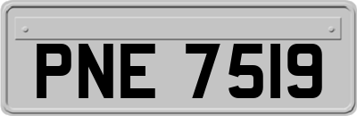 PNE7519