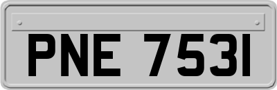 PNE7531