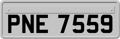 PNE7559