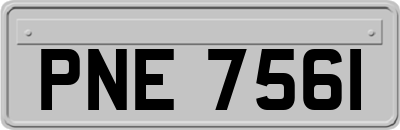 PNE7561