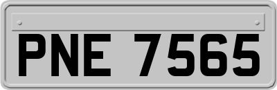 PNE7565