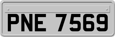 PNE7569
