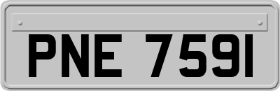 PNE7591