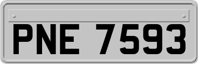 PNE7593